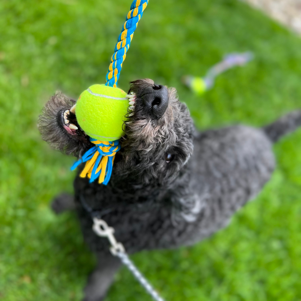 Upcycled Tennis Ball Rope Dog Toy