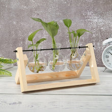 Load image into Gallery viewer, Glass and Wood Vase Planter Terrarium Table Desktop Hydroponics Plant