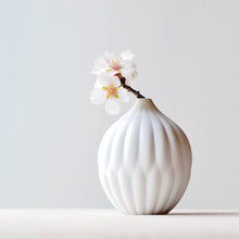 Load image into Gallery viewer, Collection of 3 Textured Porcelain Vases